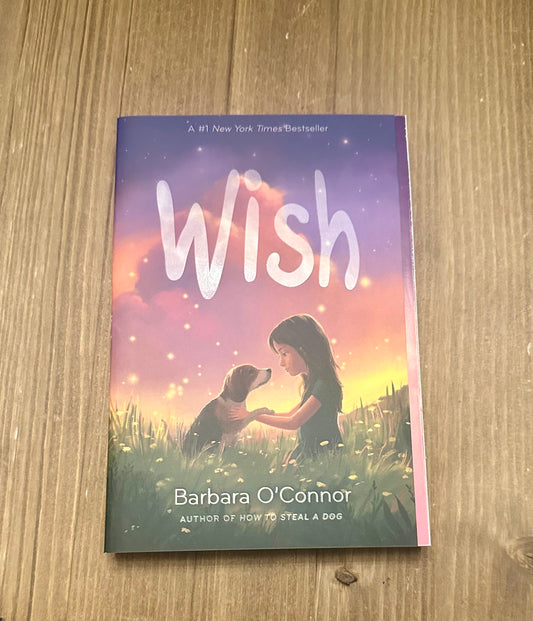 Wish by Barbara O’Conner - Paperback