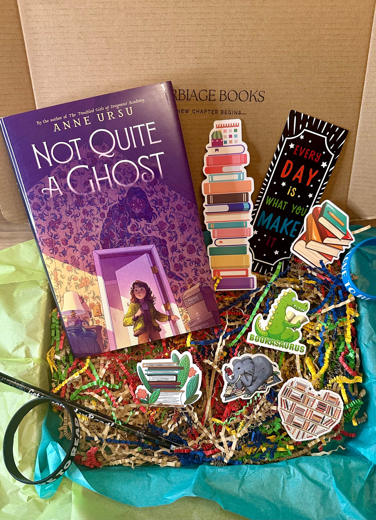 Young Readers Book Box - Not Quite a Ghost by Anne Ursu - Hard Cover